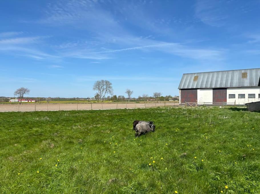 Oesterlen Oasis Spjutstorp Экстерьер фото